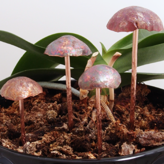 Copper Mushroom Sculptures With Brown Caps Set of 4