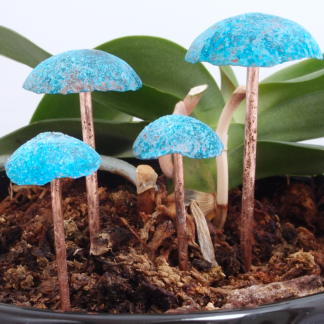 Copper Mushroom Sculptures With Blue Patina Caps Set of 4
